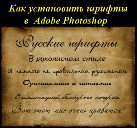      Adobe Photoshop.