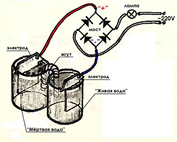 Как сделать аппарат живой и мертвой воды своими руками?
