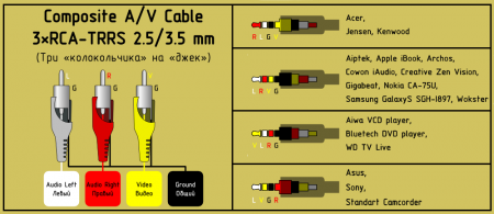  AV-  3&#215;RCA - TRRS (   ).