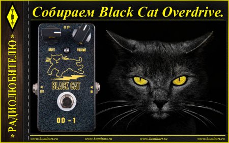  Blackkat Overdrive